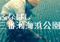 無料で潮干狩りが楽しめる千葉県の『ふなばし三番瀬海浜公園』へ潜入調査！