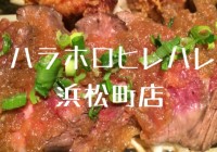 ホロヒレハレ 浜松町店