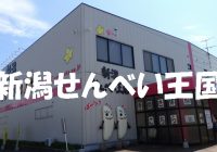 家族で行きたい！新潟県の観光スポット”新潟せんべい王国”へどあそと！！