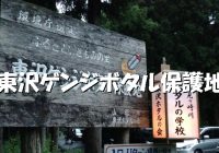 大自然残る山形で観たいホタルの群生地“東沢ゲンジボタル保護地”への行き方