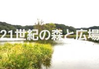 【写真で観る】湧水が湧く池と美しい森が楽しい「21世紀の森と広場」を徹底解説!!