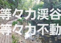 【写真で観る】東京都23区内で唯一の自然豊かな「等々力渓谷」と「等々力不動」を徹底解説！！