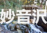 【写真で観る】埼玉県新座市にある平成の名水百選に選ばれた「妙音沢」を弁財天伝説と共に徹底解説！！