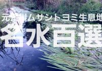 埼玉県熊谷市の平成の名水百選に選ばれた「元荒川ムサシトヨミ生息地」を徹底解説！！