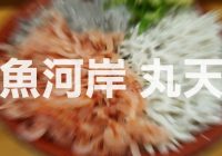 せっかく静岡沼津港に行って食べるなら『魚河岸　丸天』がおススメな話！