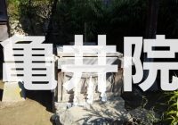 万葉集にも詠まれた「真間の井」のある弘法寺の子院『亀井院』へ潜入調査！！