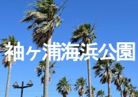 東京湾を一望できる南国ムード漂う『袖ヶ浦海浜公園』をドローンで空撮！