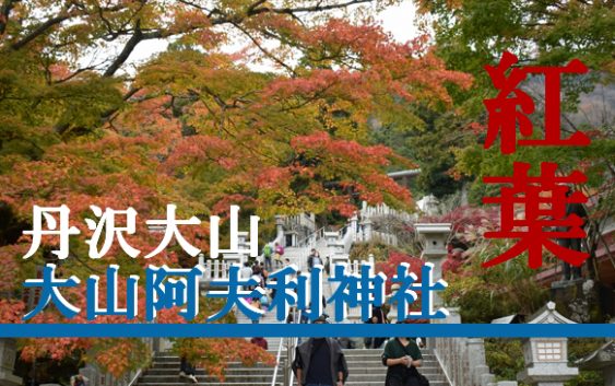 大山阿夫利神社