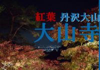 神奈川県伊勢原市の人気紅葉スポット『大山寺』に行ってみた！～中腹編～