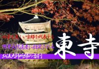 夜の紅葉が美し過ぎる京都を代表する古刹『東寺（教王護国寺）』に行ってみた