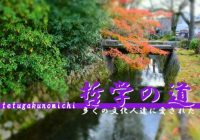 紅葉の季節に京都を代表する散策路として知られる『哲学の道』を歩いてみた