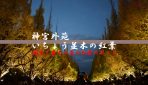 関東で最も人気の紅葉スポット『明治神宮外苑の銀杏並木』を観に行ってみた
