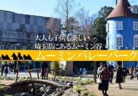 コスパ最悪と言われる埼玉県飯能市の『ムーミンバレーパーク』に行ってみた