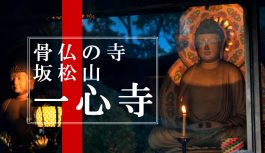 大阪市にある遺骨数万体を集めて造られる骨仏の寺『一心寺』に行ってみた