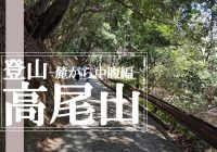 都心から最も近く初心者でも登山を楽しむ事が出来る『高尾山』に登ってみた