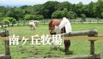 栃木県那須町にある無料で入場が出来る『那須高原　南ヶ丘牧場』に行ってみた