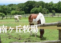 栃木県那須町にある無料で入場が出来る『那須高原　南ヶ丘牧場』に行ってみた